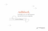 Adblock, enquête sur un détracteur de performance digitale