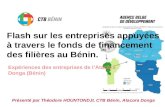 Flash sur les entreprises appuyées à travers le fonds de financement des filières au Bénin - Théodore Hountondji (CTB Bénin)
