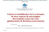 Culture et modélisation de la croissance de deux espèces de microalgues thermophiles issues des eaux géothermales de Bechima (sud tunisien)