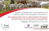 Quelle stratégie de valorisation des vaches dans les élevages allaitants  enseignements de la valorisation de bases de données commerciales mutualisées