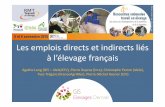 P10 les emplois directs et indirects liés à lélevage français