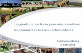 La génétique, un levier pour mieux maîtriser les mammites chez les vaches laitières (Version française)