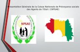 Présentation cnpsae guinee conakry