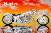 Harley davidson plus_une_petite_touche_speciale__samuel21
