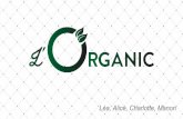 Projet Fictif : L'Organic