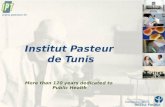 L'Institut Pasteur de Tunis et sa stratégie en biosécurité/biosûerté