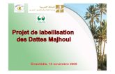 Caractéristiques du secteur des dattes Mehjouldans la zone de Tafilalet: (french)