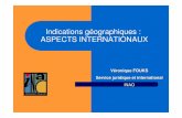 Présentation et discussion sur la protection des Igs (french)