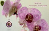 44 menton par mélodie 83ème fête du citron 2016 les orchidées amdp