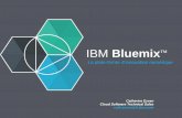 IBM Paris Bluemix Meetup #12 -Ecole 42 - 9 décembre 2015