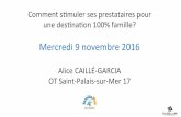 MOPA - Comment stimuler ses partenaires pour une destination 100% famille? - Office de tourisme de Saint Palais Novembre 2016
