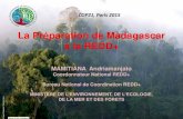 1.2.2.0 La Préparation de Madagascar à la REDD+