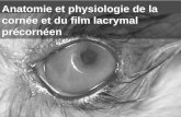 Anatomie et physiologie de la cornée des Carnivores _ Frank FAMOSE