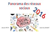 Panorama des réseaux sociaux 2016