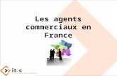 Agents commerciaux en France