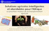 Briefing de Bruxelles 45: Josef Kienzle "Agriculture intelligente : tendances et nouvelles opportunités profitant aux petits exploitants"