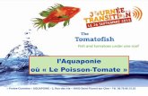 MBA - l'Aquaponie ou le Poisson-Tomate - Journée de la Transition Citoyenne 2015