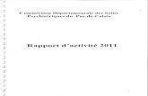 62 rapport activité cdsp 2011