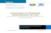 STOCKAGE ET PIÉGEAGE GÉOLOGIQUE DE CO2