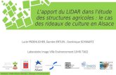 L'apport du LIDAR dans l'étude des structures agricoles : le cas des rideaux de culture en Alsace