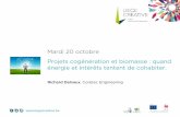 Projets cogénération et biomasse : quand énergie et intérêts tentent de cohabiter par Richard Delvaux | LIEGE CREATIVE, 20.10.15