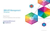 Introduction a IBM API Management