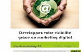 Conférence sur les bases du marketing digital, mairie de Médan 2016