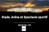 E-transformation des stades arenas et spectacles sportifs - MBA MCI