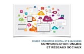Cours INSEEC 2016 communication online et réseaux sociaux