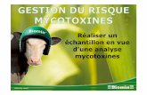 Mycotoxines, ensilages et échantillonages 3