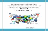 Etude 2015 - les professionnels de l'expertise-comptable et les reseaux socionumeriques (r.s.n.) - auteur florian dufour