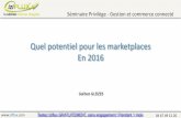 3 Quel potentiel pour les marketplaces en 2016 - Iziflux - Guilhem GLEIZES