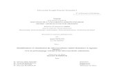 Université Joseph Fourier Grenoble I Modélisation et simulation de ...