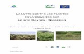 la lutte contre les plantes envahissantes sur le site gavres - quiberon