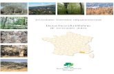 Bouches-du-Rhône - Troisième inventaire forestier