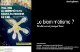 Biomimetisme présentation Supbiotech novembre 2016