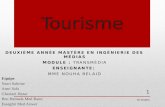 Campagne transmédia pour sauver le tourisme tunisien - Groupe 4