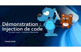 Demonstration injection de code