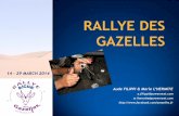 Am'zelles - Rallye des Gazelles 2014