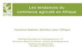 Briefing de Bruxelles 47: Ousmane Badiane "Tendances du commerce régional en Afrique"