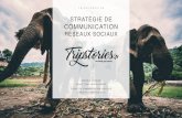 Stratégie de communication réseaux Sociaux par Antoine Borzeix