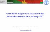 Formation Régionale Avancée des Administrateurs de CountrySTAT Burkina Faso Douala, 3 - 7 Décembre 2012