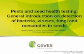 Pests and seed health testing. General introduction on detection of ...