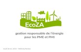 Smartcities 2015 - EcoZA