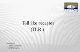 Toll like receptor (TLR)