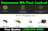 Vancouver WA Pest Control - Free Quotes