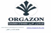 Orgazon smart consulting