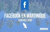Facebook en Martinique : chiffres 2016