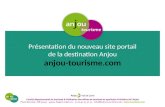 10e Soir©e des Pros du tourisme 17/11/16 - Pr©sentation projet responsive anjou-