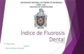 Indice de Dean. Fluorosis dental